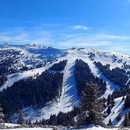 Woodside Apartment M Kopaonik Free Parking Exteriér fotografie