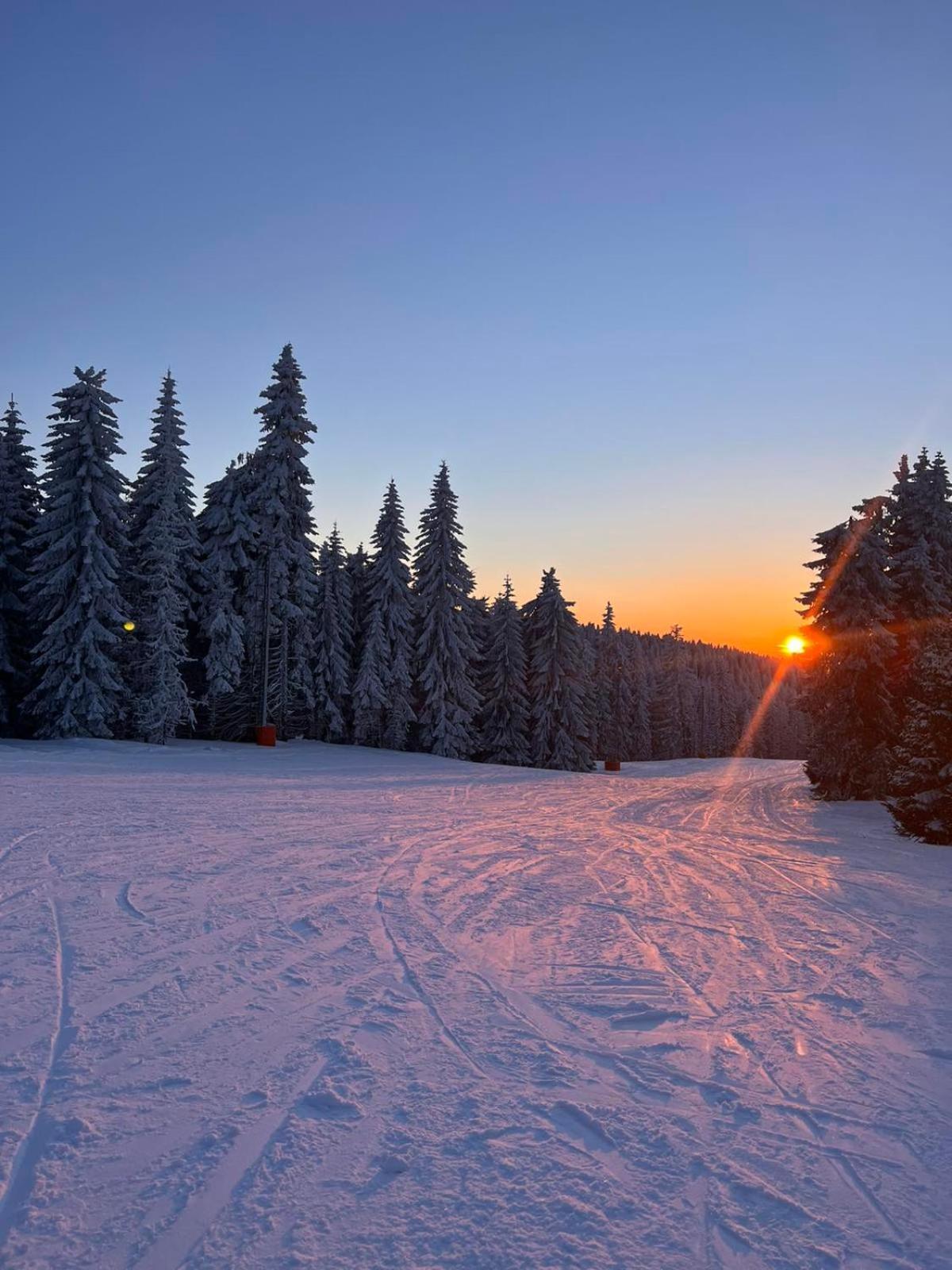 Woodside Apartment M Kopaonik Free Parking Exteriér fotografie