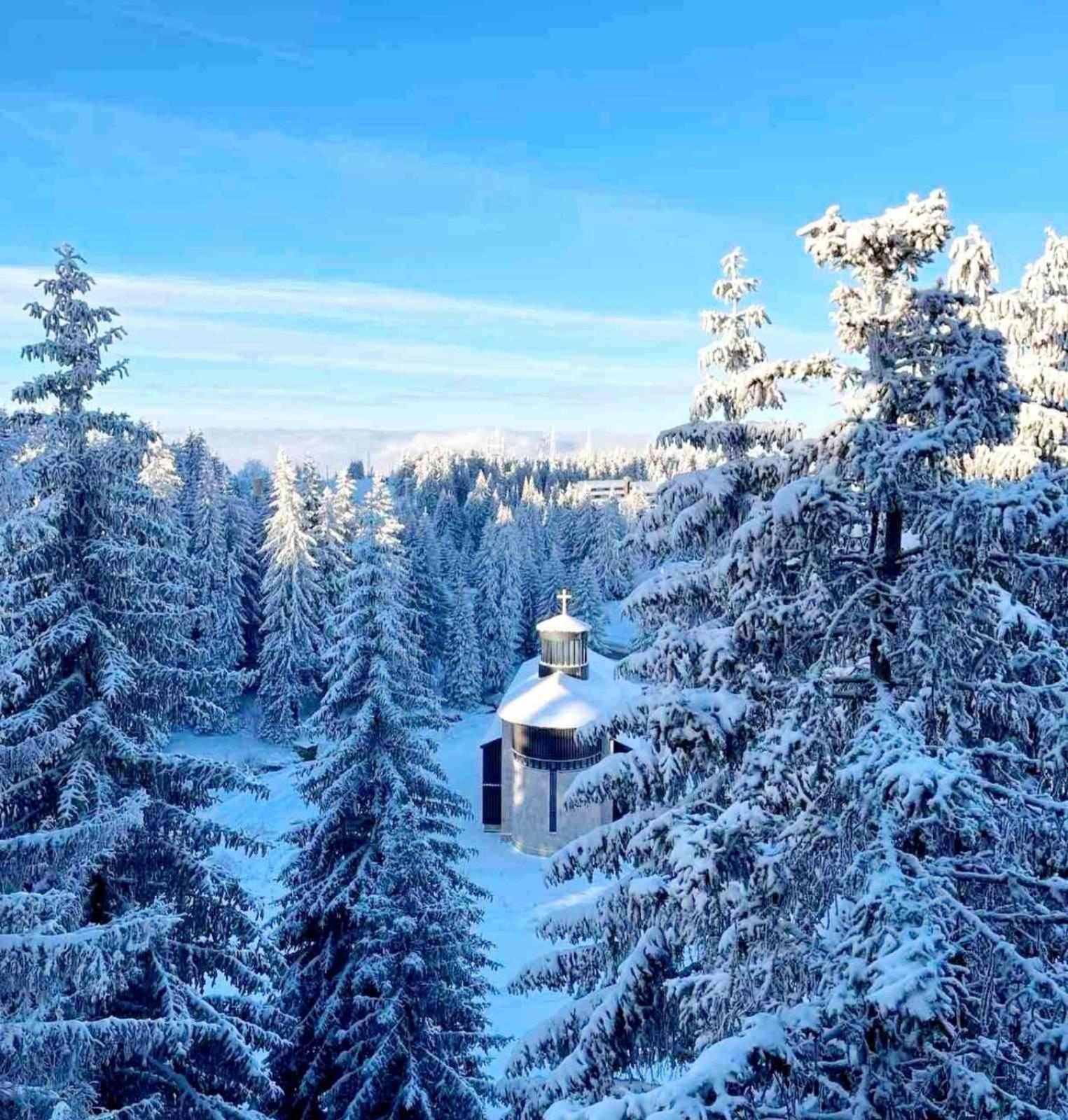 Woodside Apartment M Kopaonik Free Parking Exteriér fotografie