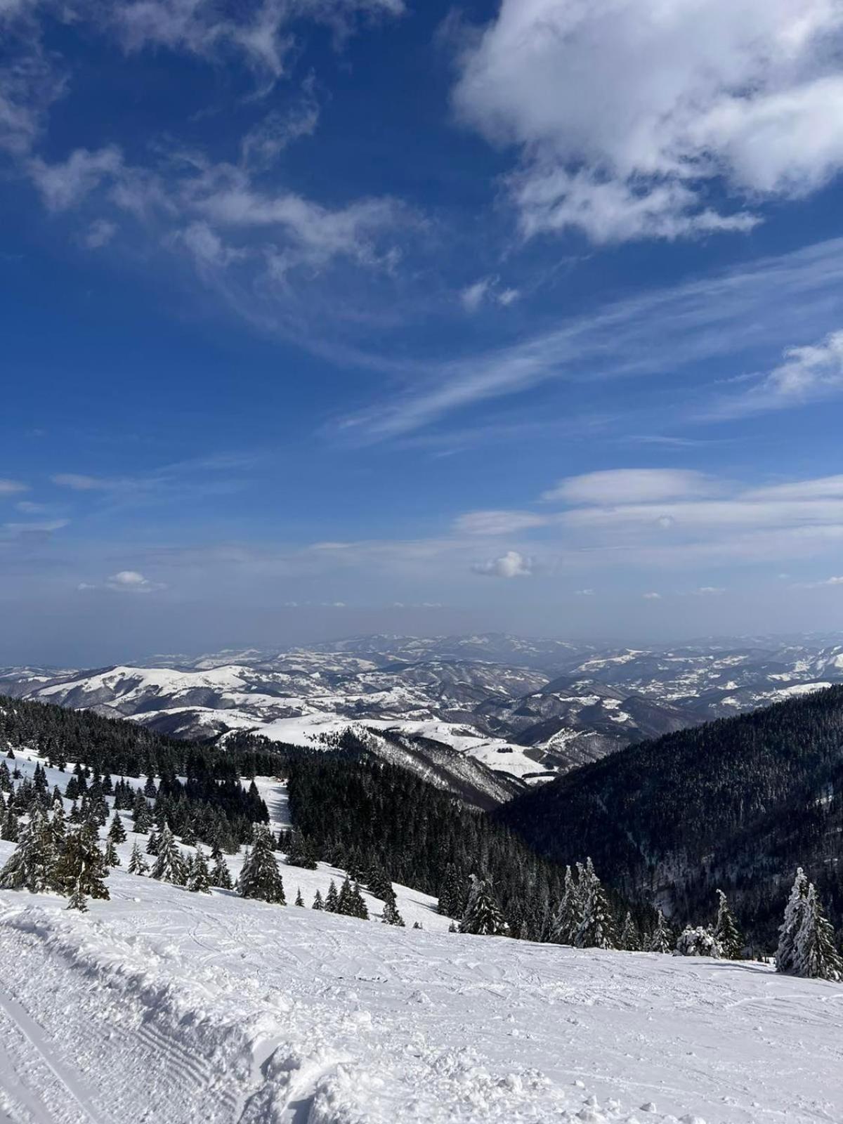 Woodside Apartment M Kopaonik Free Parking Exteriér fotografie