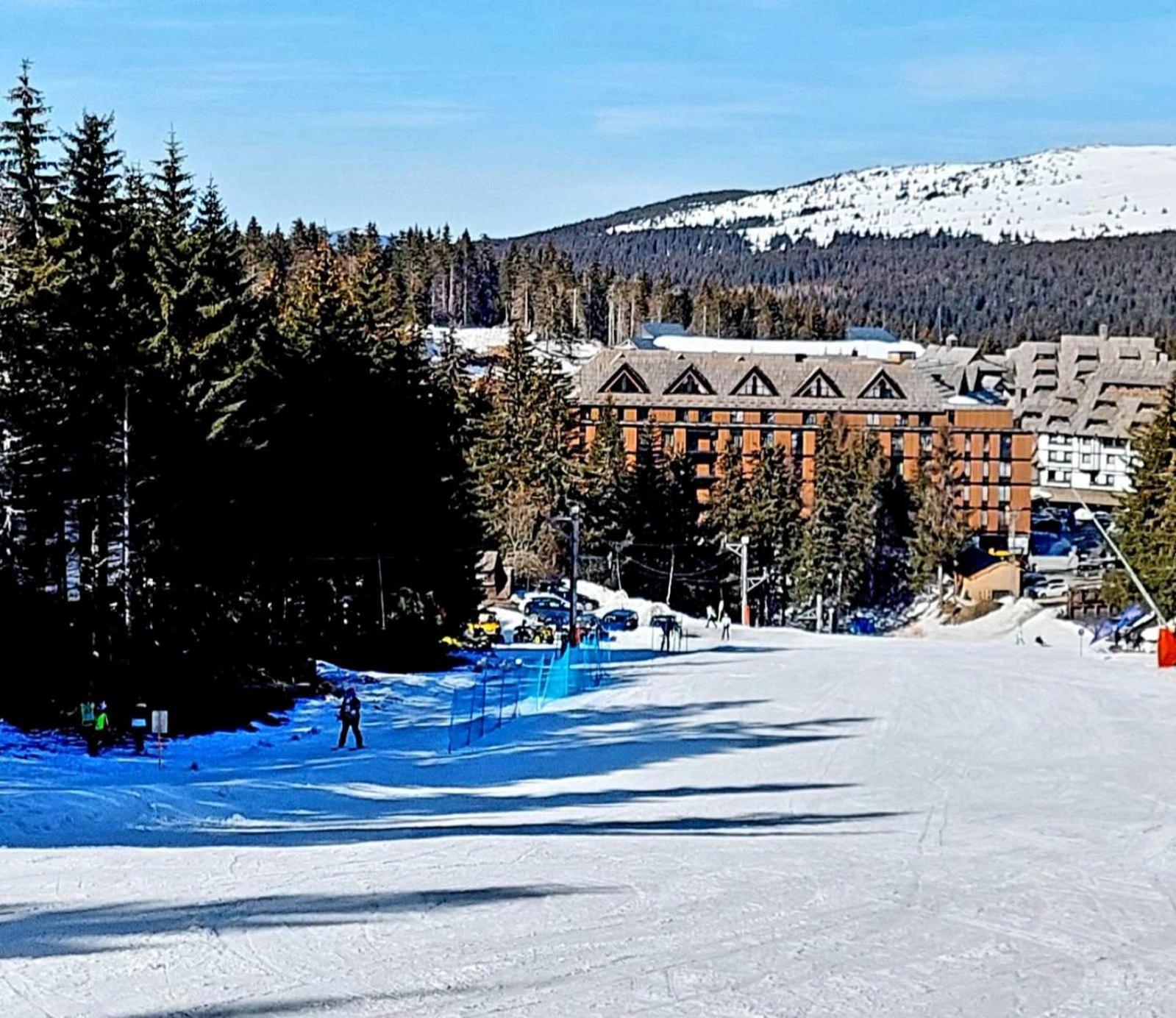 Woodside Apartment M Kopaonik Free Parking Exteriér fotografie