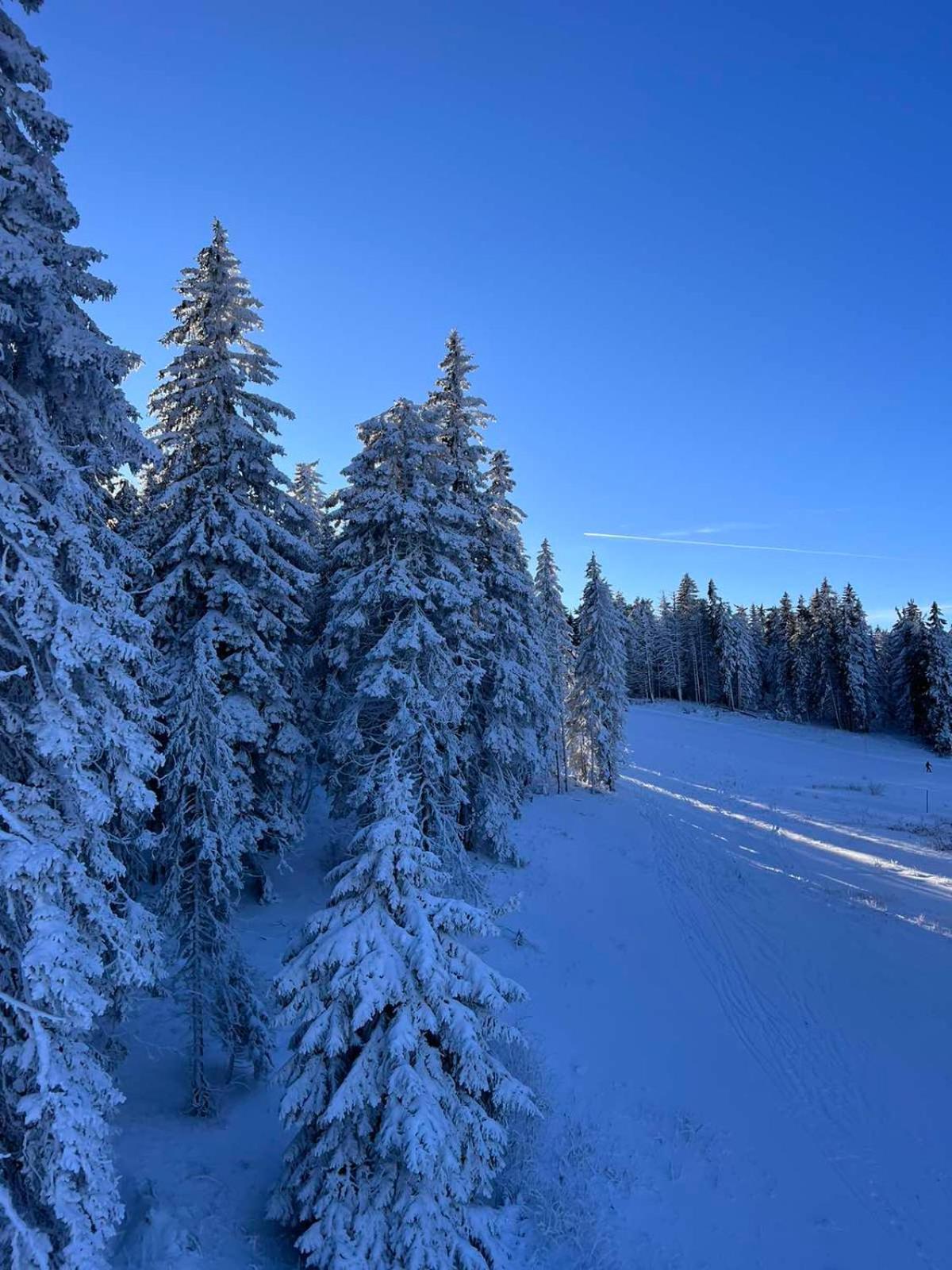 Woodside Apartment M Kopaonik Free Parking Exteriér fotografie