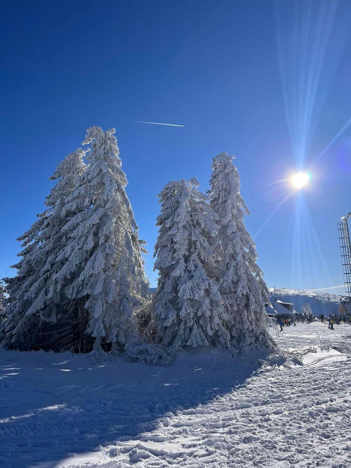 Woodside Apartment M Kopaonik Free Parking Exteriér fotografie