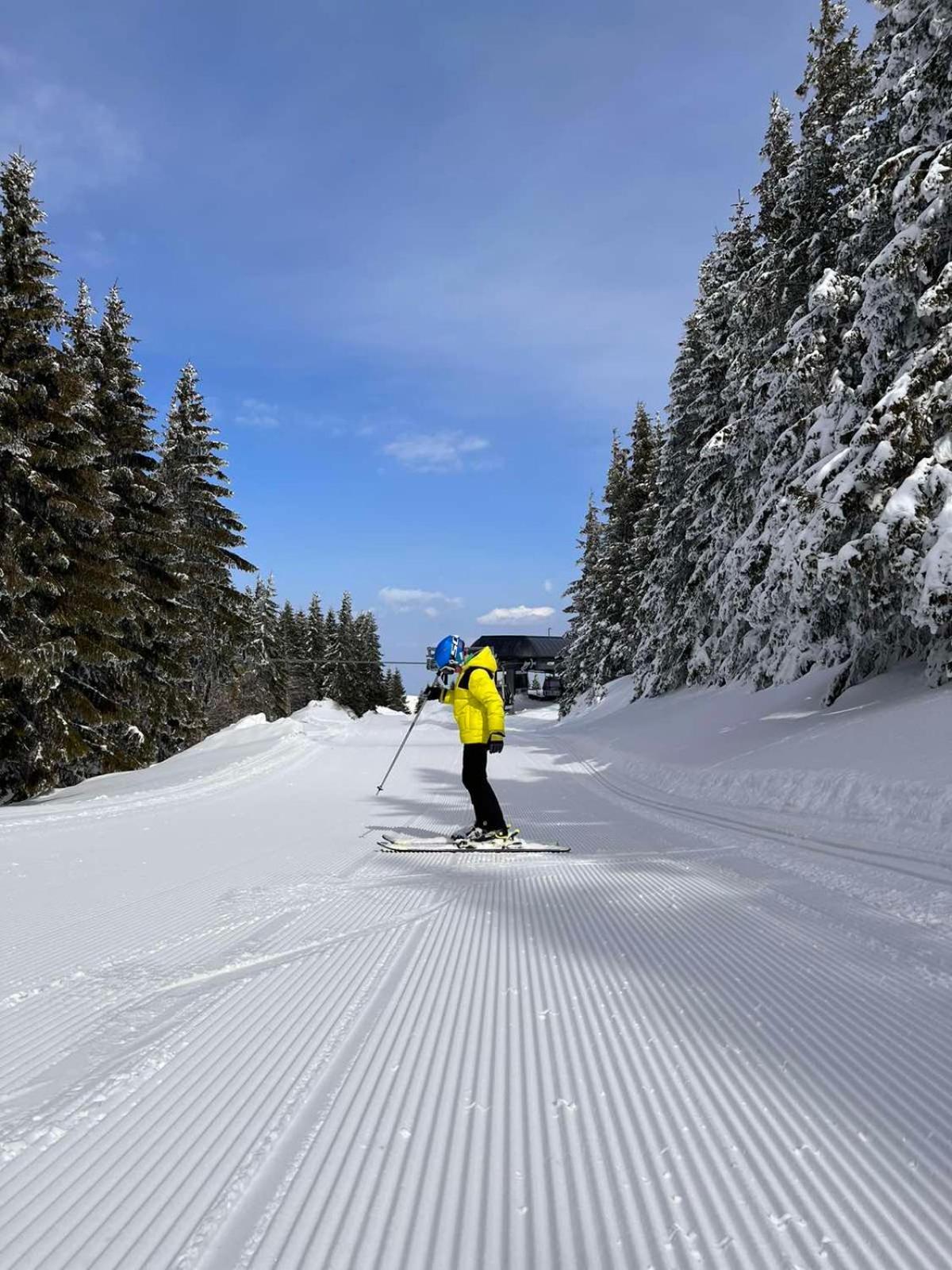Woodside Apartment M Kopaonik Free Parking Exteriér fotografie