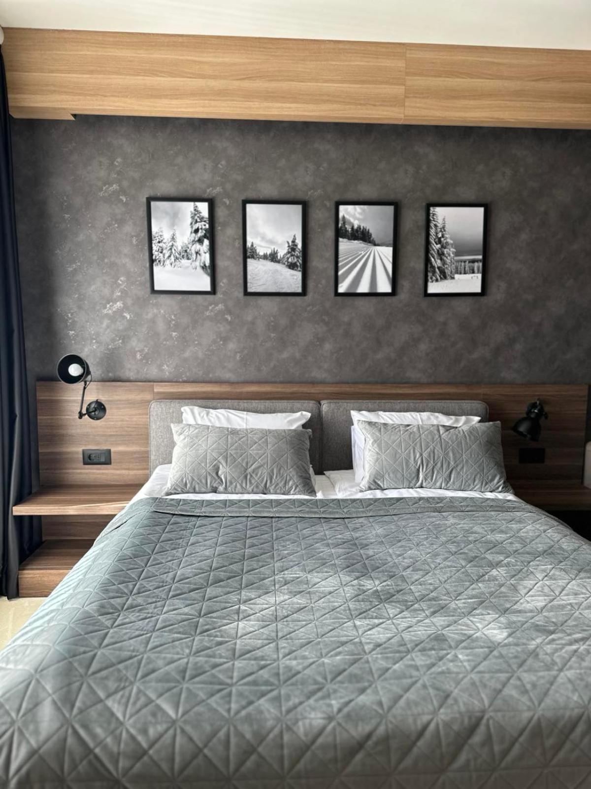Woodside Apartment M Kopaonik Free Parking Exteriér fotografie